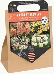 Mélange de Bulbes à Fleurs Parfumées