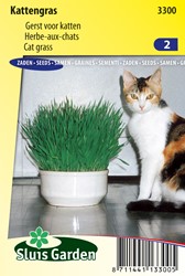 Herbe a chats