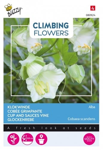 Cobée grimpante Alba - Climbing Flowers