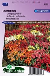 Muflier des Jardins naine Emerald Isles Mix