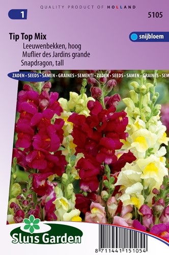 Muflier des Jardins Tip Top Mix