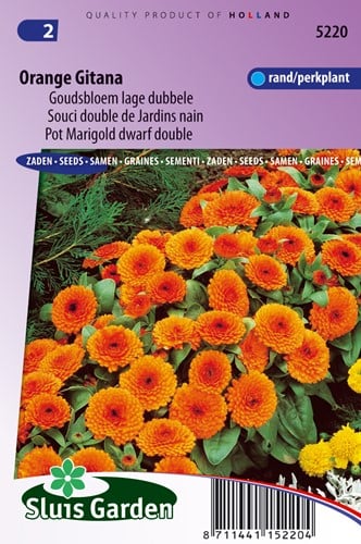 Souci double de Jardins Orange Gitana - Calendula