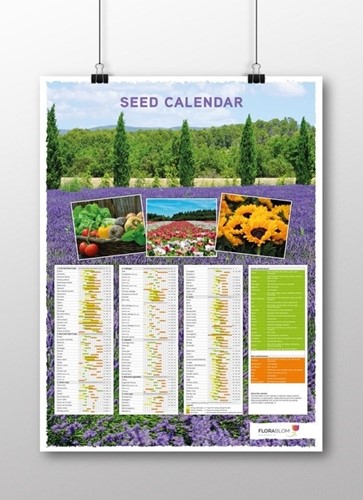 Poster Calendrier des Semis Anglais
