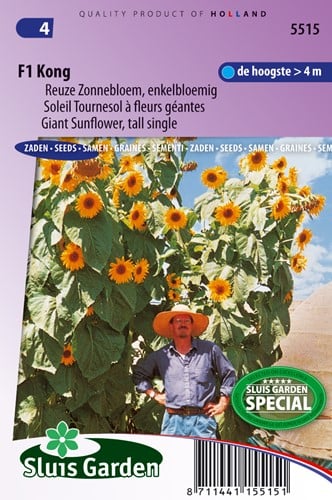 Tournesol, Tournesol à fleurs géantes F1 Kong