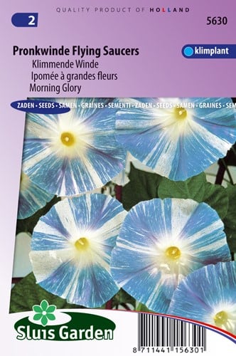 Ipomée à grandes fleurs Flying Saucer - Ipomoea