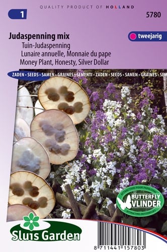 Lunaire annuelle, Monnaie du pape Mix - Lunaria
