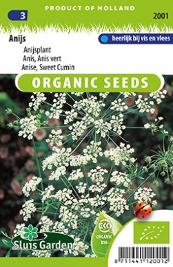 Anis vert BIO - Pimpinella anisum