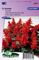 Salvia Sint Jansvuur