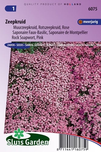 Saponaire Faux-Basil / de Monpellier Rose-Pink - Saponaria
