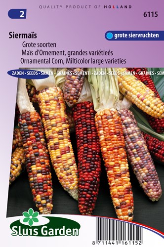 Maïs d'Ornement grandes variétés