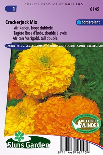 Tagète Rose d'Inde double élevée Crackerjack Mix - Tagete