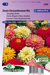 Zinnia élégant à fleurs doubles Chrysanthemum Mix