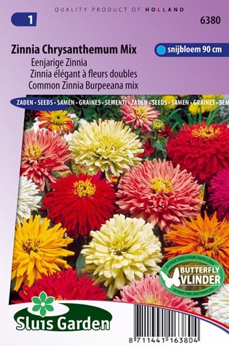 Zinnia élégant à fleurs doubles Chrysanthemum Mix