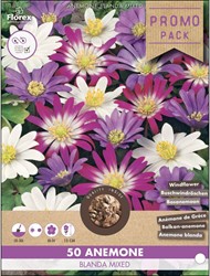 Anemone blanda mixed - 50 Anémone de Grèce (Promo Pack)