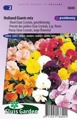 Pensée Holland Giants Mix Viola Clear Crystals
