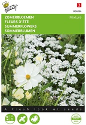 Fleurs d’été - En mélange blanches