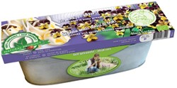Kit Violette Trois Couleurs Graines Biologiques