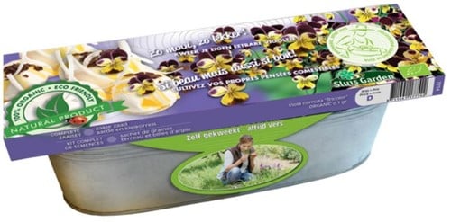 Kit Violette Trois Couleurs Graines Biologiques