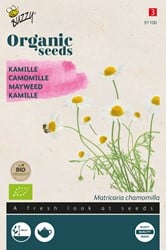 Bio Matricaire - Camomille Allemande