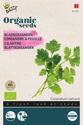 Bio Coriandre à Feuille