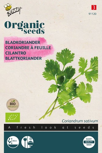 Bio Coriandre à Feuille