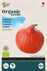 Bio Pompoen Uchiki Kuri