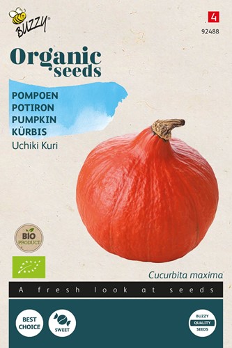 Bio Pompoen Uchiki Kuri