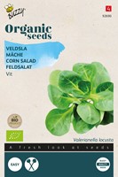 Bio Veldsla Grote Noordhollandse - Valerianella locusta