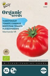 Bio Tomates Charnue Marmande - Solanum lycopersicum