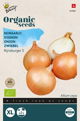Oignon Rijnsburger 5 – Buzzy Organic Seeds