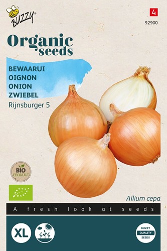 Oignon Rijnsburger 5 – Buzzy Organic Seeds