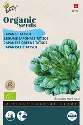 Bio Légume Japonais Tatsoi - Brassica Narinosa