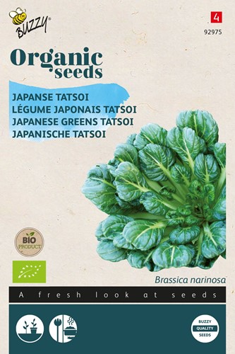 Bio Légume Japonais Tatsoi - Brassica Narinosa
