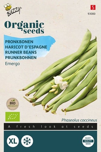 Bio Haricot d'Espagne Blanc à longue coss