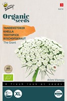 Bio Khella The Giant - Ammi Visnaga