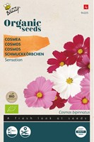 Bio Cosmea Sensation Mix - Cosmos