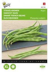 Haricot vert Argus - Buzzy
