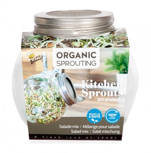 Mélange de salade - Organic Sprouting pot en verre