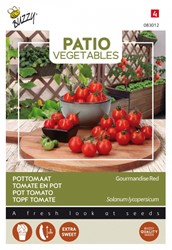 Tomate en pot Gourmandise Red - Patio Vegetables