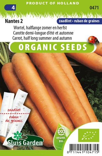 Carrotte Nantaise 2 Ruban EKO