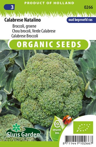 Chou brocoli Groene Calabrese Natalino EKO