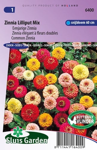 Zinnia élégant à fleurs doubles Lilliput Mix