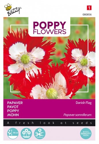 Pavot Drapeau Danois - Buzzy Poppy Flowers