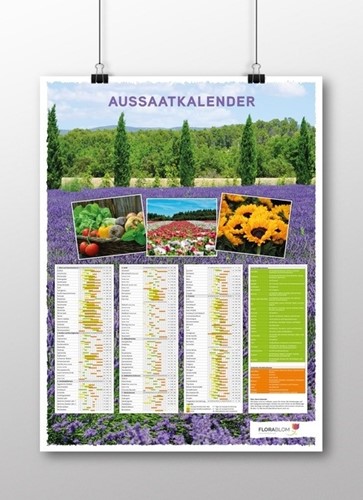 Poster Calendrier des Semis Allemand