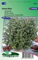 Menthe crépue