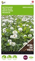 Fumage ou d'engrais vert Trèfle blanc / 100 gr - 100 m2