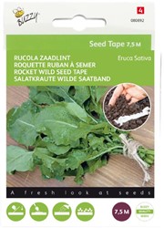 Ruban de Graines de Roquette 7,5 mt – Buzzy Seed Tape