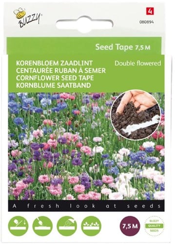 Centaurée barbeuau double Ruban à Semer – Buzzy Seed Tape