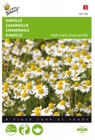Chamomile - Matricaria Camomille Buzzy
