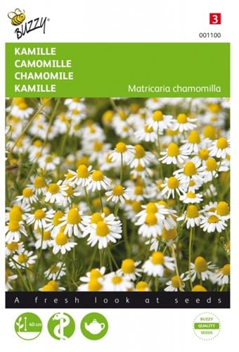 Chamomile - Matricaria Camomille Buzzy